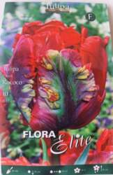 Tulpes Rococo Flora Elite, 7 gab