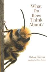 What Do Bees Think About?