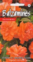 Balzamīnes athena f1 orange flash