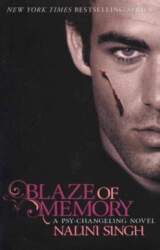 Blaze of Memory: Book 7