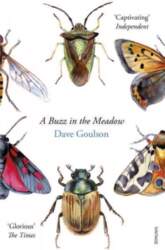 Buzz in the Meadow