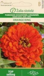 Cinijas ORANGE KING