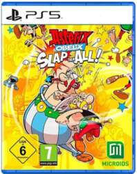Datorspēle Asterix & Obelix: Slap Them