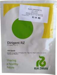 Gurķi Dirigent, 100 gb