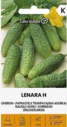 ĪSAUGĻU GURĶI LENARA H