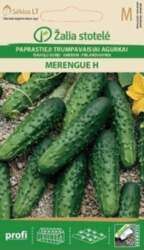 ĪSAUGĻU GURĶI MERENGUE H