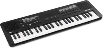 Max Rhapsody49 sintezators