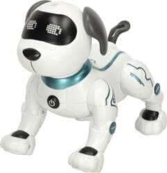 Robots suns RC, balts