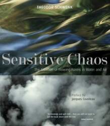 Sensitive Chaos: The Creation of Flowing