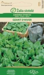 SPINĀTI GEANT D`HIVER