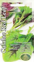 Trīskrāsu Amarants