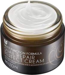 Mizon Multi Function Formula Snail Repair