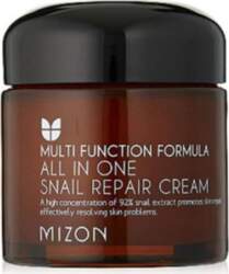 Mizon Multi Function Formula All In
