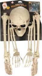 Skelets HALLOWEEN