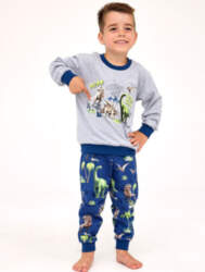 Zēnu pidžama Cornette Kids Boy 593/163