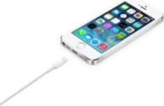 Apple Lightning to USB Cable (2