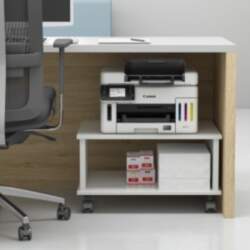 Canon MAXIFY GX6550 Multifunktionssystem 3-in-1