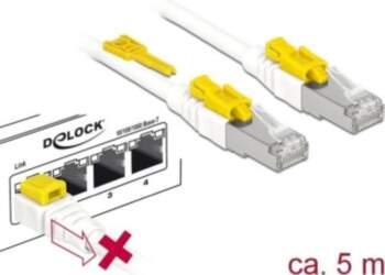 DeLOCK Secure - Patch-Kabel - RJ-45