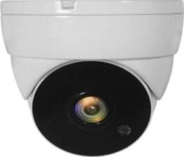 LevelOne 4-in-1 Fixed Dome CCTV Analog