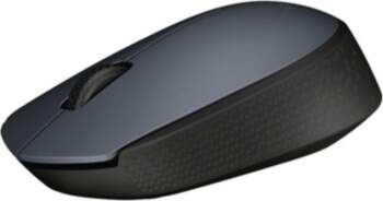 Logitech M170 - Optical mouse -