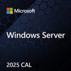 Microsoft Windows Server CAL 2025 Client