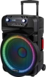 Active Speaker Cabinet (with 2 UHF