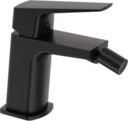 Bidet Faucet