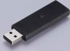 Epson Wireless LAN Interface-P1 (5GHz) |