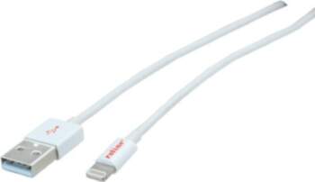 ROLINE - Lightning-Kabel - Lightning (M)