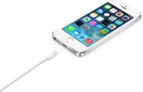 Apple Lightning to USB Cable (2