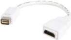StarTech.com Mini DVI auf HDMI