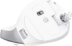 Trust Bayo II - Ergonomic Wireless
