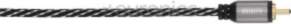 Avinity, RCA, 1,5 m -
