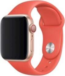 Devia Apple Watch 40mm / 38mm