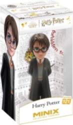 MINIX HARRY POTTER - HARRY POTTER