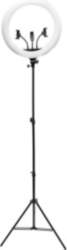 Rio RL18-EU/1.2 45cm Dimmable LED