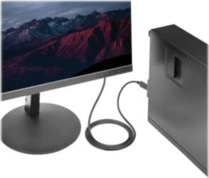 StarTech.com DisplayPort auf DVI Kabel