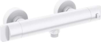 Thermostatic shower faucet