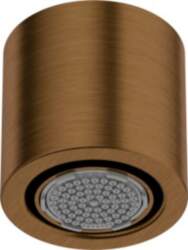 1-function shower head
