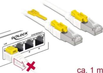 DeLOCK Secure - Patch-Kabel - RJ-45