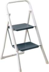 RAYEN 2-Step Ladder