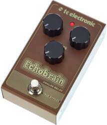 TC Electronic Echobrain Analog Delay Delay
