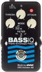 EBS Bass IQ Blue Label Envelope