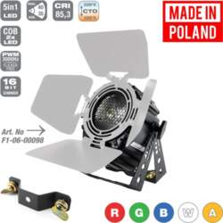 Flash Professional LED PAR 64 250W