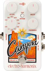 Electro Harmonix Canyon Delay, Echo Pedals