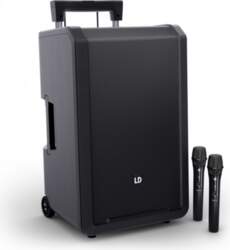 LD Systems ANNY 12 HHD 2