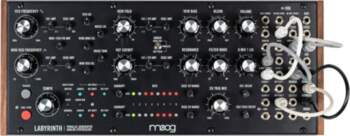 Moog Labyrinth Sintezators
