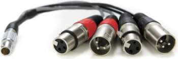 Atomos XLR Breakout Cable (in /