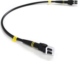 FieldCast 2C SM Jumper Duplex Patch