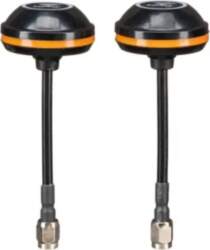 Vaxis sēņu antena